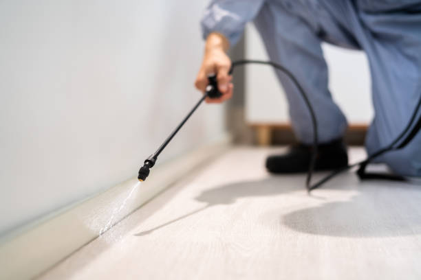 Licensed Termite Control service in Lynchburg, TN - Nex Pest Control