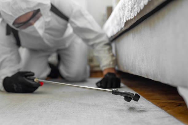 Professional Termite Control technician working in Lynchburg, TN