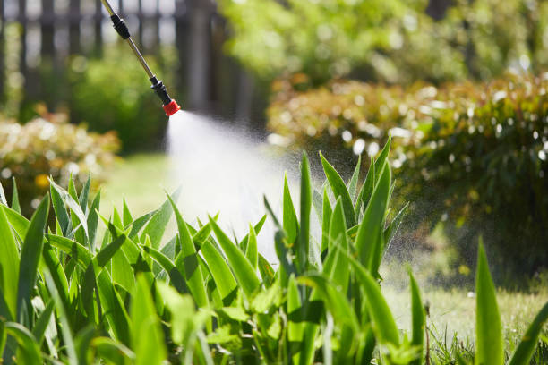 24/7 Emergency Termite Control experts in Lynchburg, TN