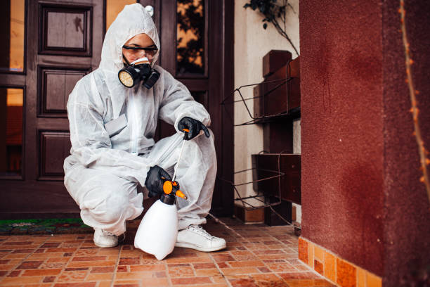 Reliable Termite Control contractor in Lynchburg, TN by Nex Pest Control