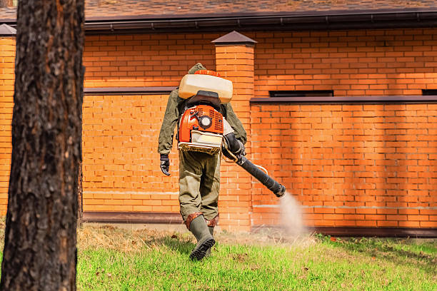 Trusted Termite Control service in Lynchburg, TN - Nex Pest Control